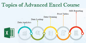 Advanced Topics in Excel