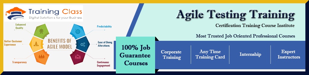 Agile Testing  Training Course in Delhi