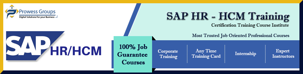 SAP HR HCM Training Institute In Noida Delhi NCR HR HCM Training 