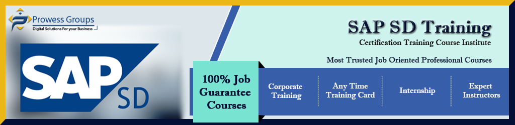 SAP SD Training Course in Noida & Delhi NCR